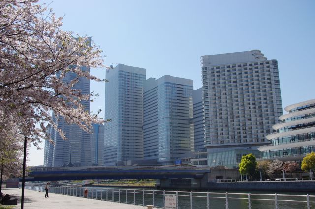 大岡川を遡る方向、みなとみらいの高層ビル群が見える。