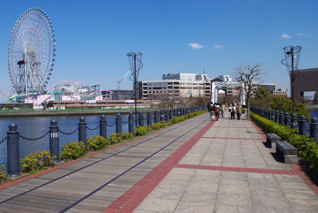 汽車道は大岡川河口付近の内海の中を横切る歩道。名前の通り、かつて使われていた線路の跡もそのまま残っています。