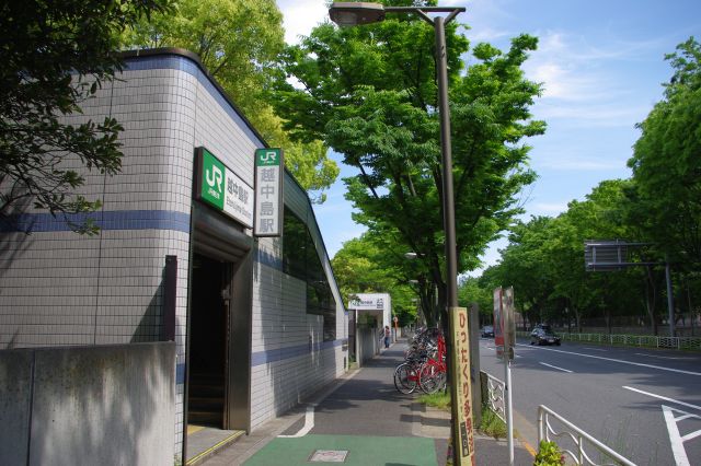 地下駅のJR京葉線・越中島駅から地上に出ると、周囲は気持ちのいい緑の並木道。