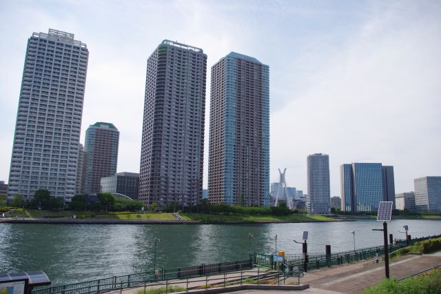 深緑色の隅田川（晴海運河）沿いに歩道状の越中島公園が続く。対岸にある超高層マンション群が圧巻。