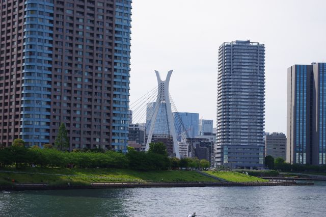 合間にある月島から新川地区へ渡るつり橋「中央大橋」が目を引く。
