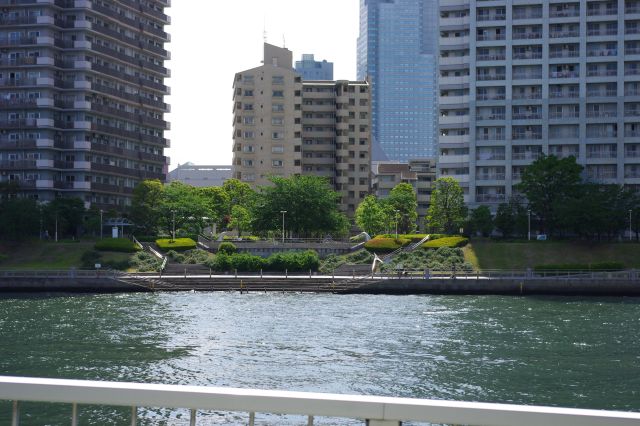 対岸の石川島公園。マンションの合間にある憩いの空間。