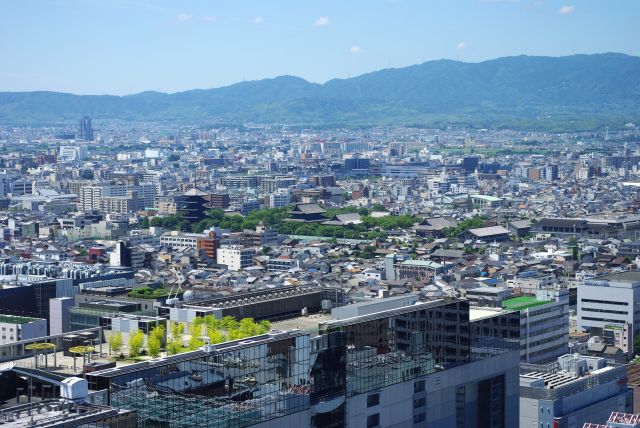 東寺をズーム。五重塔や緑に覆われた広い境内。京都駅の屋上にも緑が。