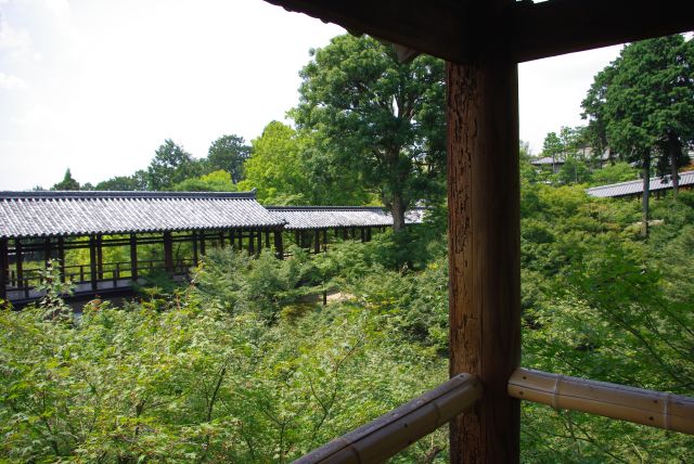 東福寺(2012年)の写真ページへ