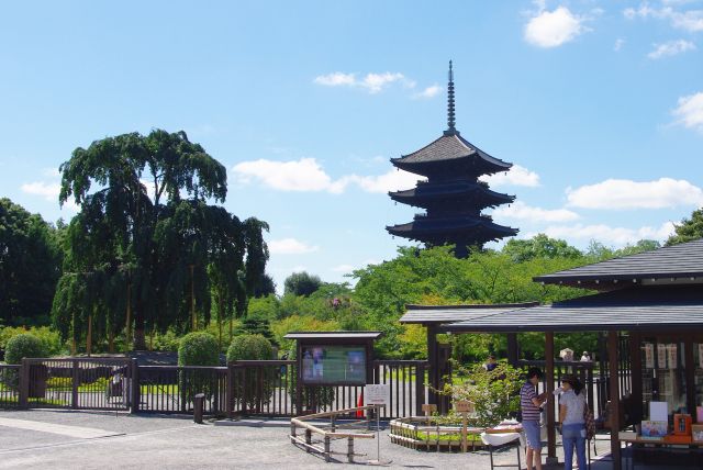東寺の写真ページ