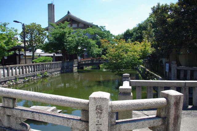 北大門を出ると緑の池を渡る。左が観智院。