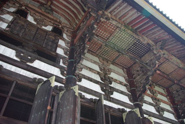 大仏殿の屋根を見上げる。木造ながら異様に巨大な構造物と実感。