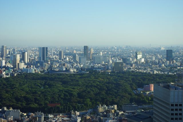 南側には手間に広大な代々木公園、第一体育館、渋谷の高層ビルが見えます。