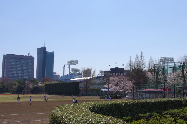 南側の広大なグラウンドには複数の野球場がある。少年野球などの試合をしていた。