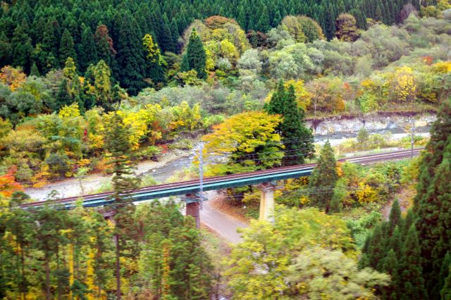 田沢湖線・秋田新幹線の線路。下のほうは緑色の木が中心です。