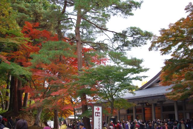 仙台よりバスで世界遺産平泉の中尊寺へ。とても多くの人でにぎわう。讃衡蔵（さんこうぞう）の前は紅葉が一番鮮やかでした。
