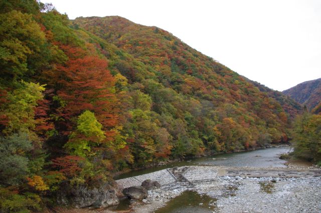 抱返り渓谷の紅葉の写真ページ