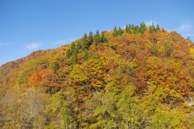 周囲の山の全てが美しい紅葉で満たされている。