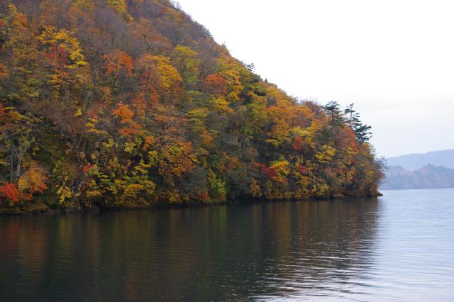 御倉半島に近づいた所で紅葉をズーム。子ノ口よりは枯れ木が多い？