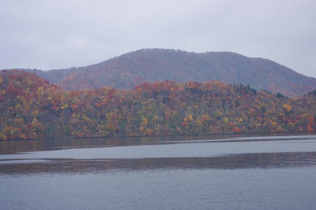 半島間の標高の低い所。崖がなく木ごとに色の違う紅葉が幅広く続く。