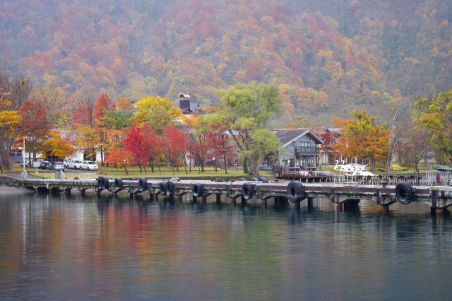 桟橋の奥には比較的鮮やかな紅葉が並ぶ。