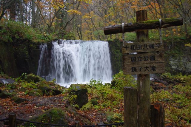 雨の中、奥入瀬渓流の銚子大滝よりスタート。幅があってきれいな滝です。