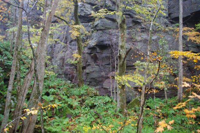 渓流の片側には高く切り立った岩の壁が続く。