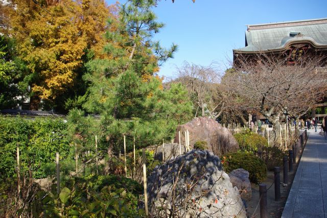 参道の鎌倉学園との間には石や松等で造られた日本らしい庭園。