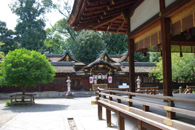 平野神社の写真ページへ