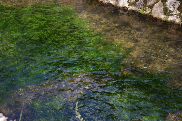 哲学の道沿いのきれいな川も琵琶湖疏水だったことに驚いた。