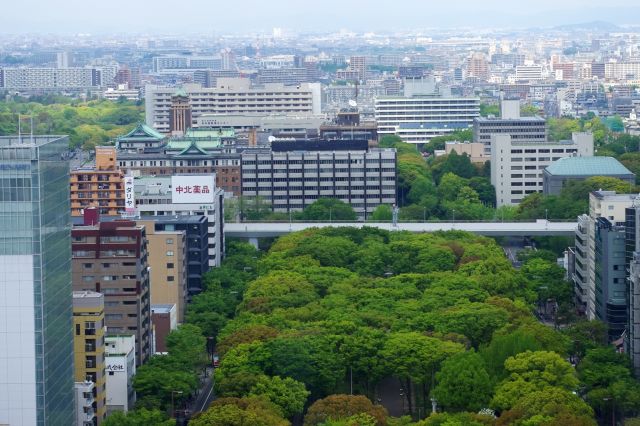 お城の屋根のような建物は愛知県庁と名古屋市役所。奥には市街地が延々と続く。