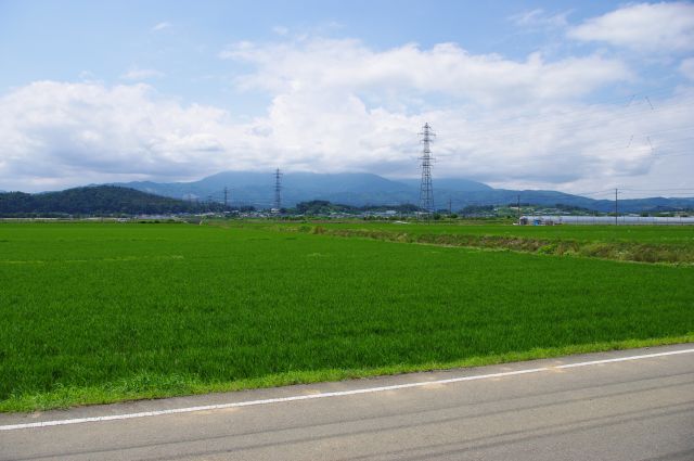 周囲は広大な緑の畑が広がります。西側に見える大きな山は葉山。