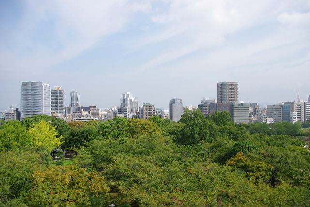 北側、城内の豊かな緑の先に都市風景が広がる。福岡の原点、黒田家の城跡から見る街は感慨深いです。