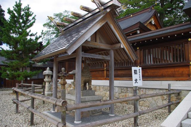 神門前には重要文化財の狛犬。神門をくぐり拝殿で拝みます。