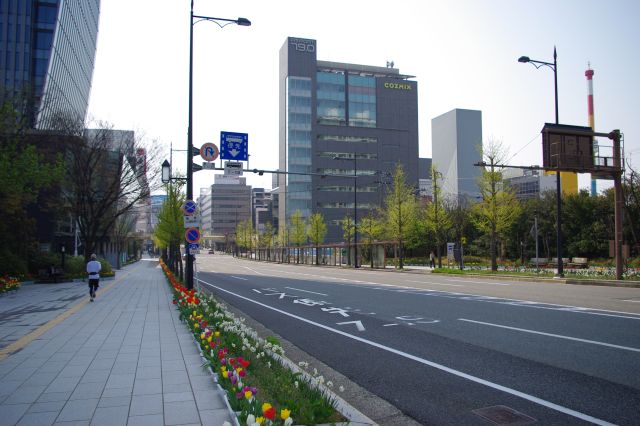 右側は万代シティ、道の先は新潟駅。チューリップはまだまだ続きます！