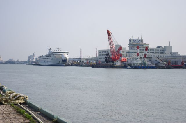 万代島の先にある新潟港。クレーン船やフェリーなどが停泊する大きな港。
