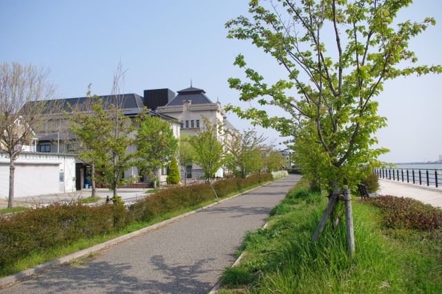 陸側は心地よい緑の中の静かな住宅街、その中に古い様式ながらきれいな新潟市歴史博物館の建物が現れます。