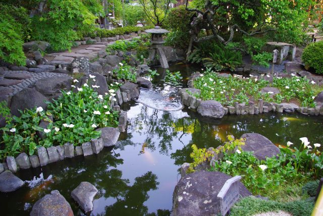 高台から降り、庭園のもう1つの池。