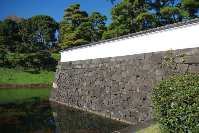 お城感のある石垣の壁と松。