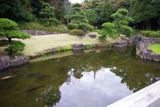 見浜園沿い、日本庭園の池がある。