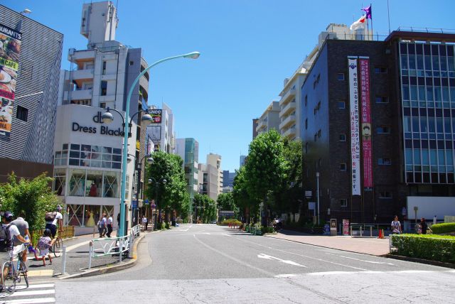 渋谷区役所前交差点から公園通りを振り返る。