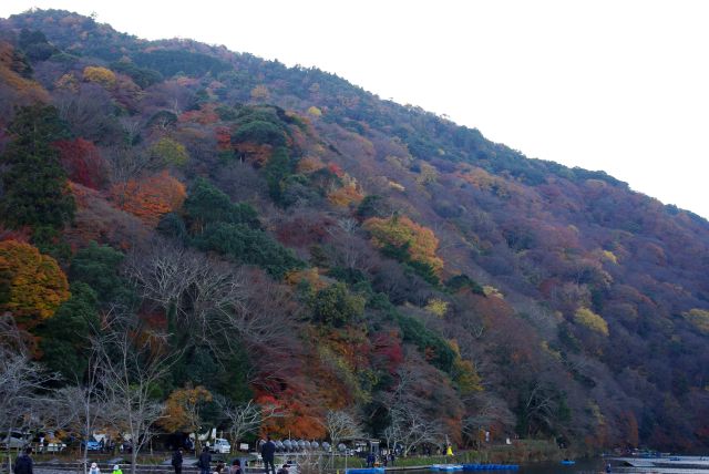 日が陰っているが山には様々な色の紅葉が見られる。