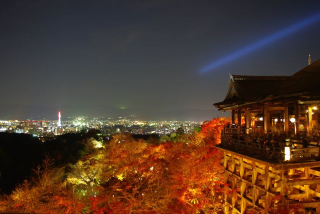 清水寺の紅葉ライトアップの写真ページへ