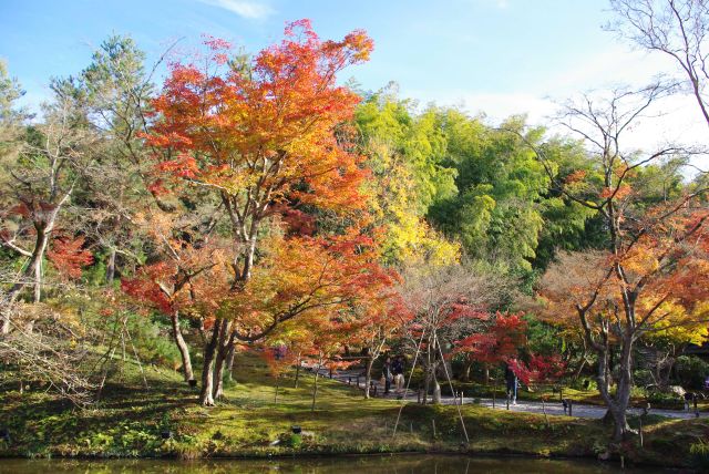 右側の臥龍池と美しい緑や紅葉の木々。