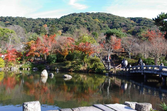 円山公園の紅葉の写真ページ