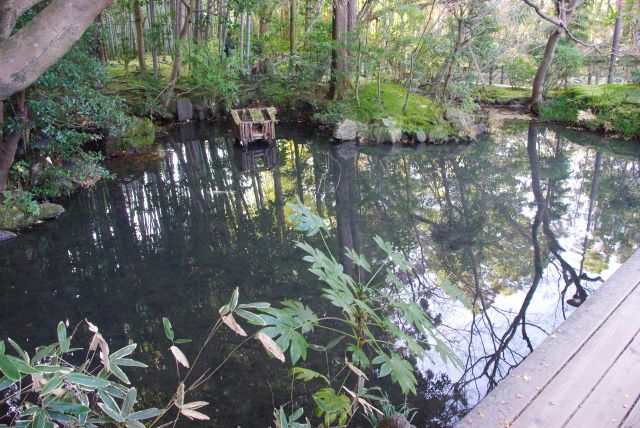 自然に囲まれた静かな池、細い板の橋を渡る。