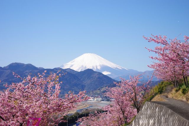 途中に見えたきれいな富士山！