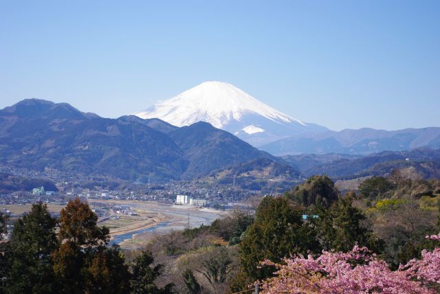 天気に恵まれ美しい富士山が顔を出す！
