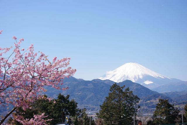富士山も視線を集める。