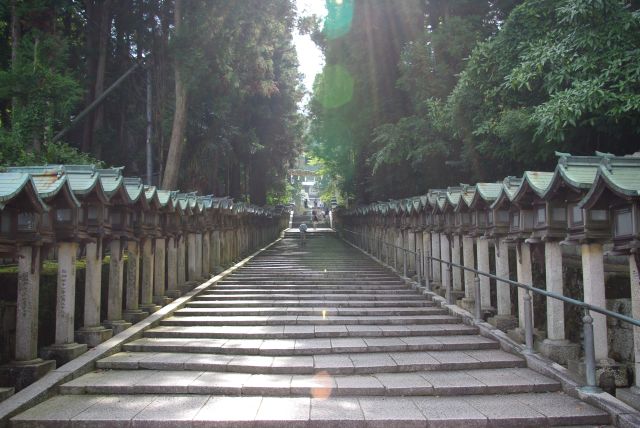 灯篭の並ぶ先石段、もうすぐ宝山寺。