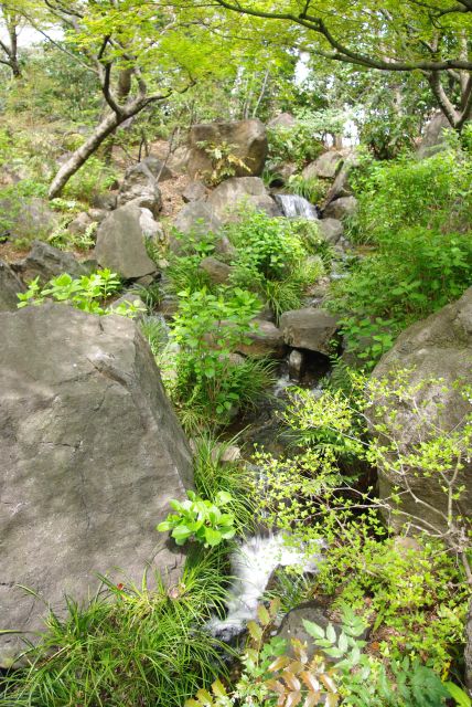 岩に流れる小川。