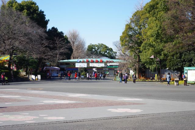 さくら通りとの交差点、正面には上野動物園。