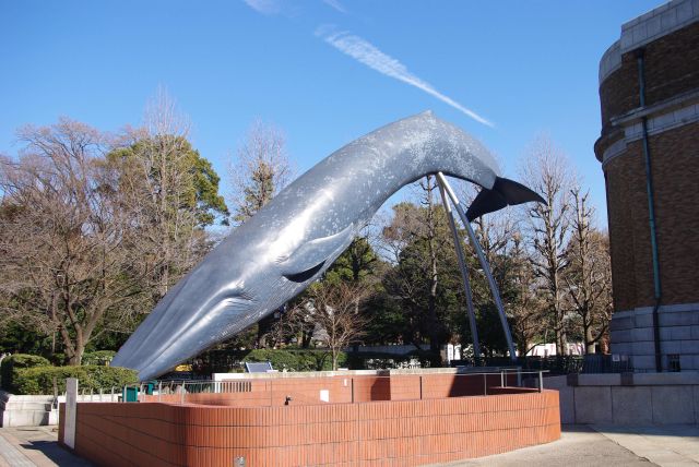 大きなクジラの像。