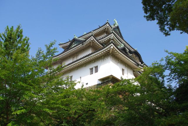 和歌山城の写真ページへ