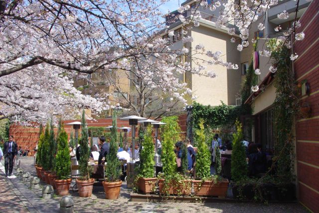 桜を楽しめるテラス席のあるレストラン、行列ができています。